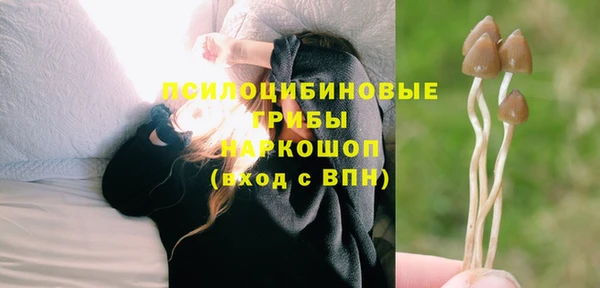 ешки Бородино