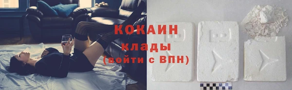 дживик Володарск