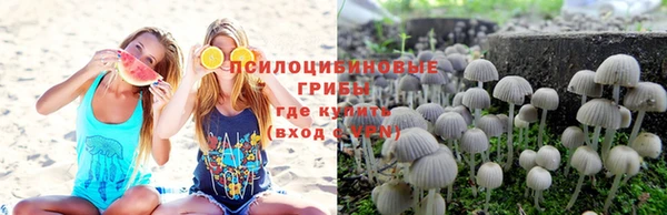 винт Бугульма